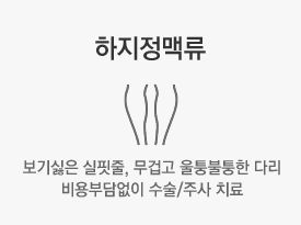 하지정맥류